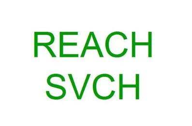 ECHA將N-(羥甲基)丙烯酰胺列為SVHC候選物質(zhì)，reach或測試224